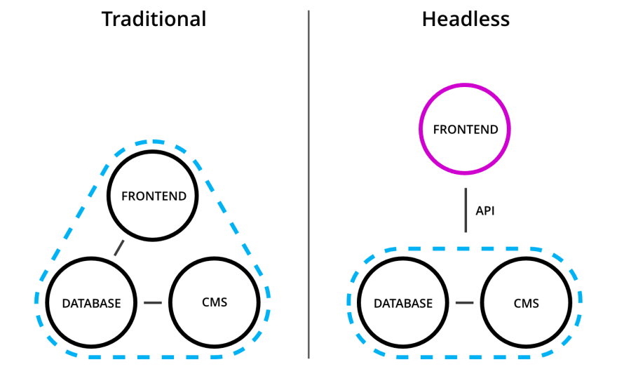 The Ultimate Guide to Headless WordPress: Here’s Why You Need It